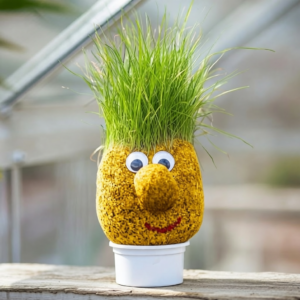 Muñeco De Serrín Original: imagen 10