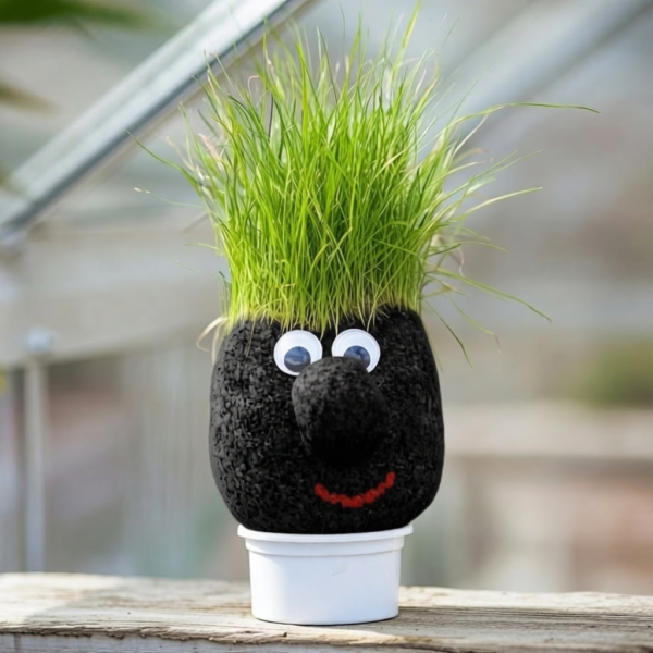 Muñeco De Serrín Original