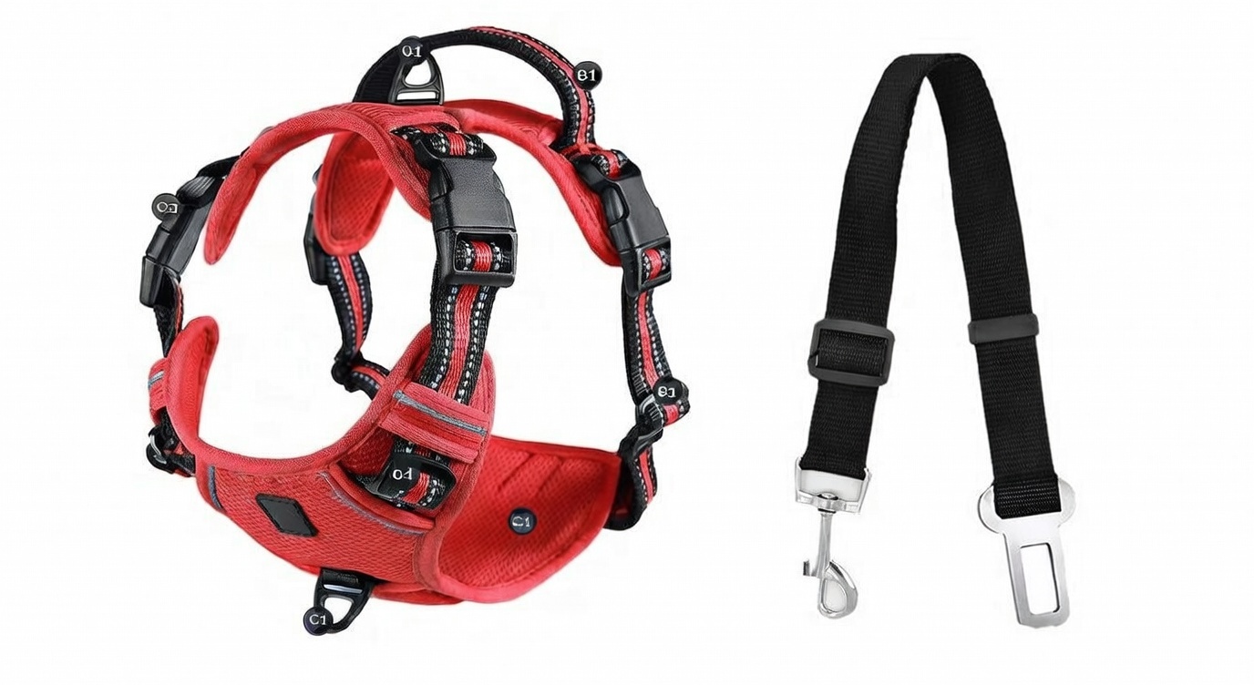 pack arnés y cinturón de seguridad para perros en coche