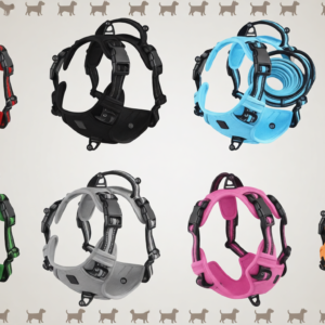 arnés de viaje para perro con sujeción de seguridad